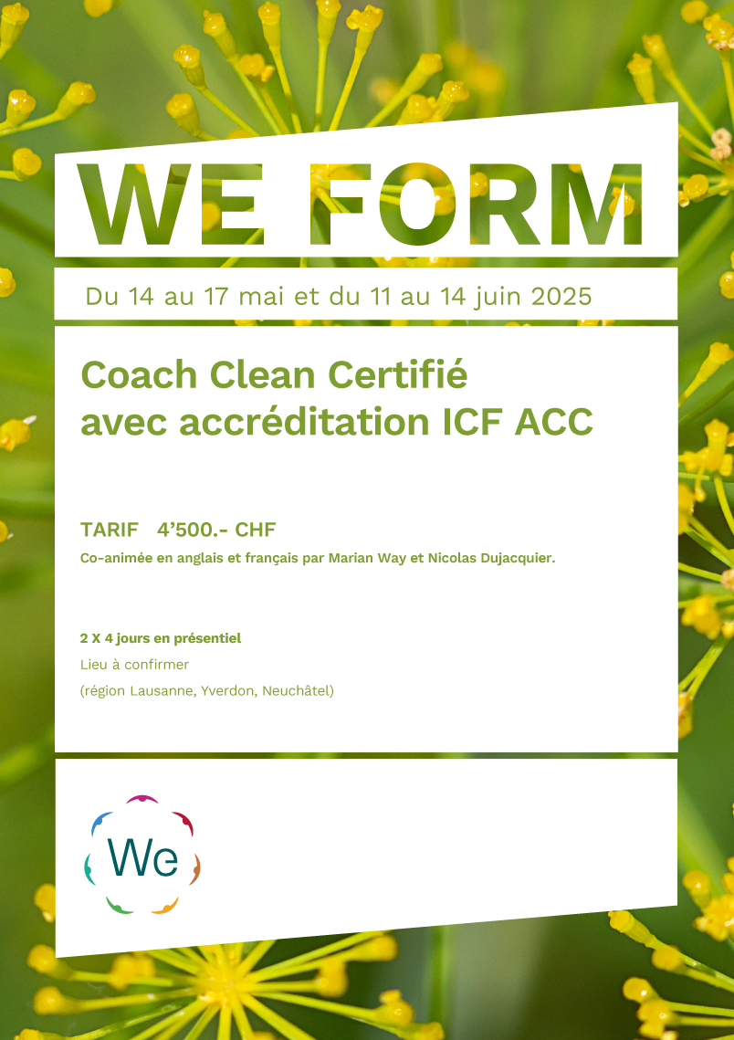 Coach Clean Certifié